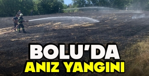 BOLU’DA ANIZ YANGINI