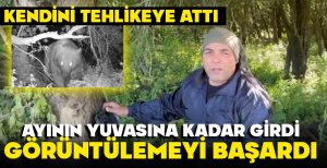 BOLU'DA AYI YUVASI GÖRENLERİ HAYRETE DÜŞÜRDÜ... "KENDİNE BARINAK YAPMIŞ"