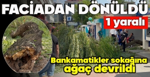 BOLU'DA BANKAMATİKLER SOKAĞINA AĞAÇ DEVRİLDİ... FACİADAN DÖNÜLDÜ... 1 YARALI
