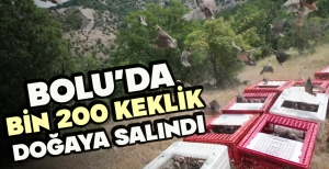 BOLU’DA BİN 200 KEKLİK DOĞAYA SALINDI
