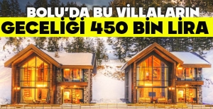 BOLU’DA BU VİLLALARIN GECELİĞİ 450 BİN LİRA