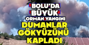 BOLU’DA BÜYÜK  ORMAN YANGINI... DUMANLAR GÖKYÜZÜNÜ  KAPLADI