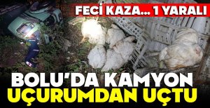 BOLU'DA FECİ KAZA... KAMYON UÇURUMA DEVRİLDİ...1 YARALI