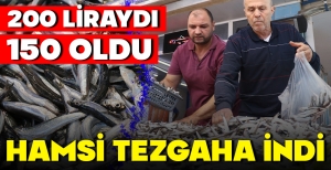 BOLU'DA HAMSİ TEZGAHLARA İNDİ... İŞTE DETAYLAR
