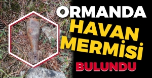 BOLU’DA HAVAN MERMİSİ BULUNDU…