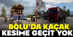 BOLU'DA KAÇAK ORMAN EMVALİNE GEÇİT YOK