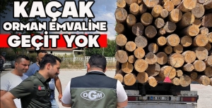 BOLU'DA KAÇAK ORMAN EMVALİNE GEÇİT YOK