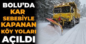 BOLU'DA KAR SEBEBİYLE KAPANAN KÖY YOLLARI AÇILDI