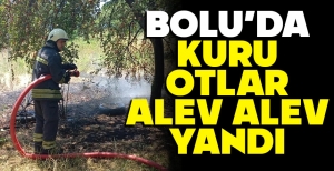 BOLU'DA KURU OTLAR ALEV ALEV YANDI