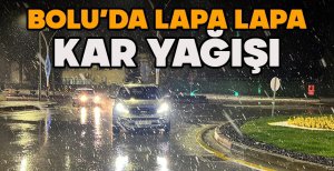 BOLU'DA LAPA LAPA KAR YAĞIŞI
