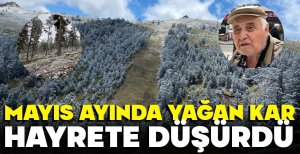 BOLU'DA MAYIS'TA YAĞAN KAR HAYRETE DÜŞÜRDÜ