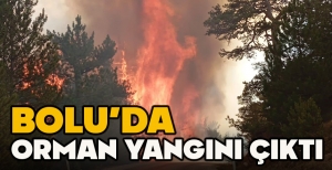 BOLU’DA ORMAN YANGINI ÇIKTI