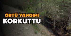 BOLU'DA ORMANLIK ALANDA ÇIKAN ÖRTÜ YANGINI KORKUTTU