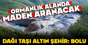 BOLU’DA ORMANLIK ALANDA MADEN ARANACAK