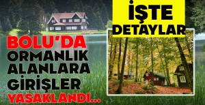 BOLU’DA ORMANLIK ALANLARA GİRİŞLER YASAKLANDI... İŞTE DETAYLAR