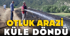 BOLU'DA OTLUK ARAZİ ÇIKAN YANGINDA KÜLE DÖNDÜ