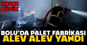 BOLU'DA PALET FABRİKASINDA BÜYÜK YANGIN