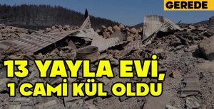 BOLU'DAKİ YANGINDA 13 YAYLA EVİ VE 1 CAMİ KÜL OLDU