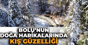 BOLU'NUN DOĞA HARİKALARINDA KIŞ GÜZELLİĞİ