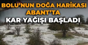 BOLU'NUN DOĞA HARİKASI ABANT'TA KAR YAĞIŞI BAŞLADI