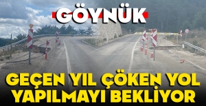 BOLU'NUN O YOLU YAPILMAYI BEKLİYOR