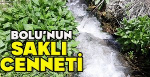 BOLU’NUN SAKLI  CENNETİ