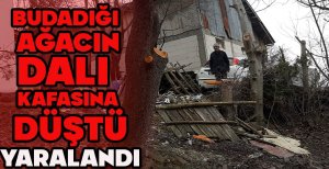 BUDADIĞI AĞACIN DALI KAFASINA DÜŞTÜ...YARALANDI