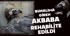 BUNALIMA GİREN  AKBABA REHABİLİTE EDİLDİ