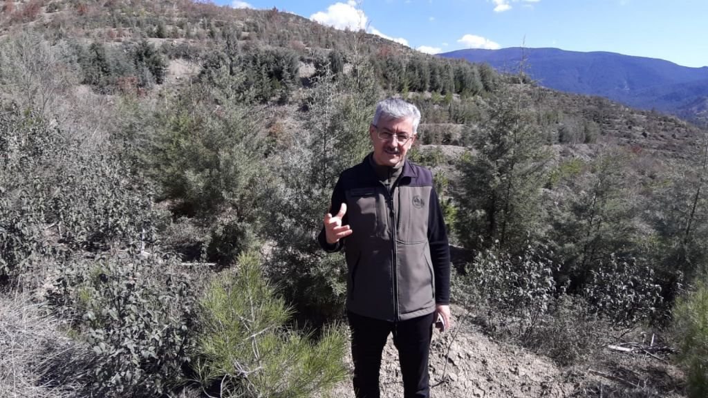 BİR SİGARA İZMARİTİYLE KÜLE DÖNMÜŞTÜ...YENİDEN CANLANDI