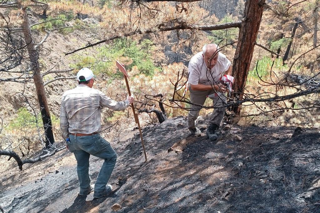 BOLU TARİHİNİN EN BÜYÜK YANGININ YARALARI SARILIYOR