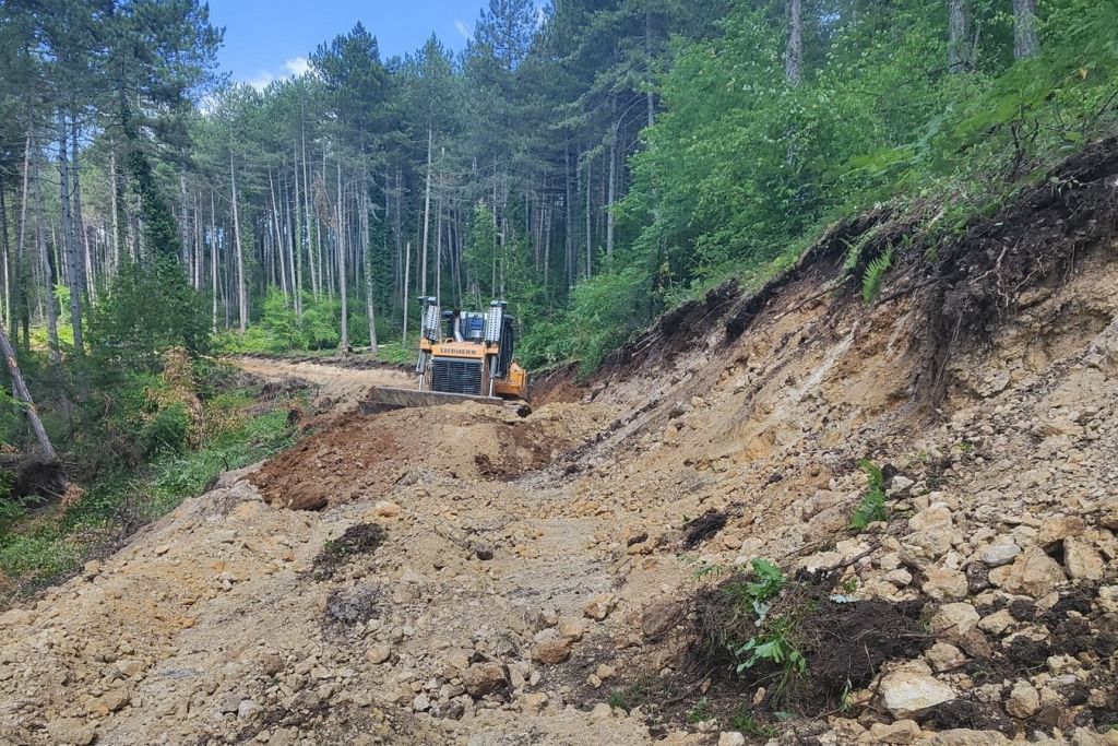 BOLU'DA 12 KİLOMETRELİK ORMAN YOLU AÇILDI