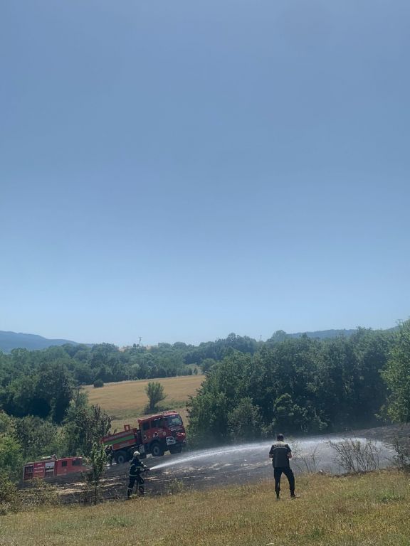 BOLU’DA ANIZ YANGINI