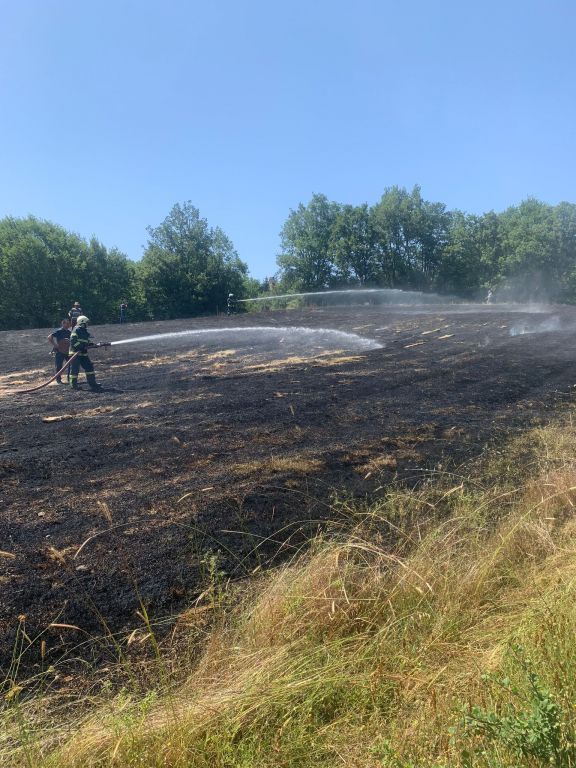 BOLU’DA ANIZ YANGINI