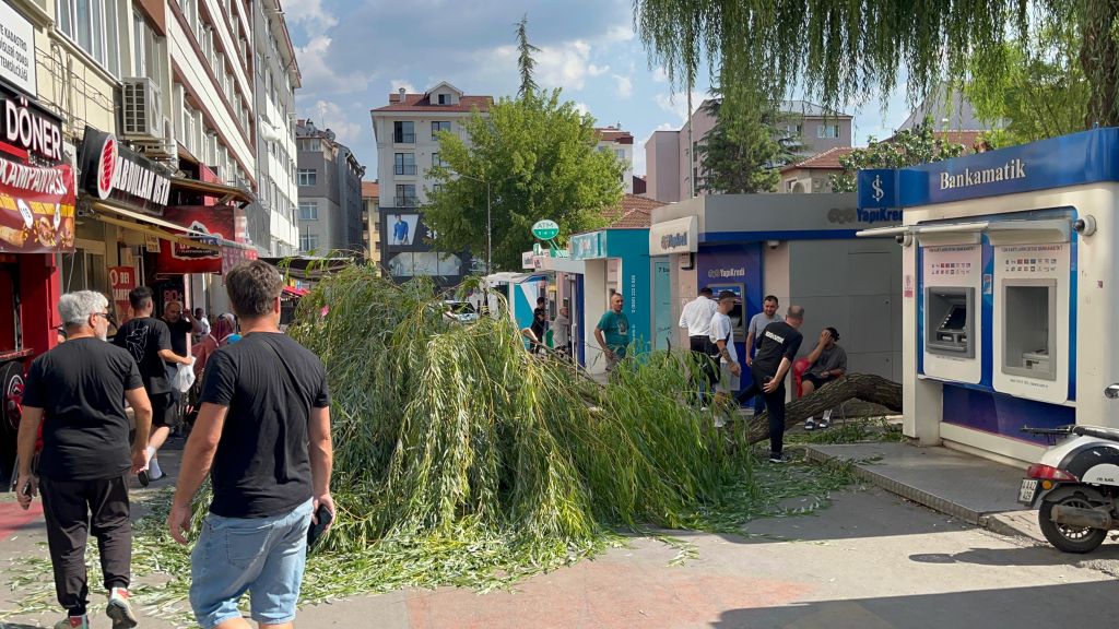 BOLU'DA BANKAMATİKLER SOKAĞINA AĞAÇ DEVRİLDİ... FACİADAN DÖNÜLDÜ... 1 YARALI