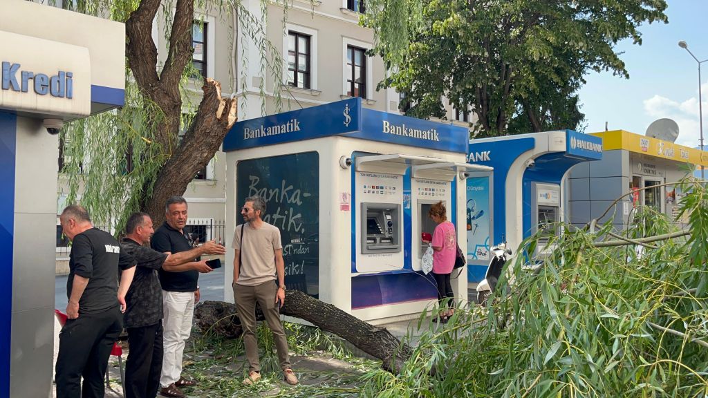 BOLU'DA BANKAMATİKLER SOKAĞINA AĞAÇ DEVRİLDİ... FACİADAN DÖNÜLDÜ... 1 YARALI
