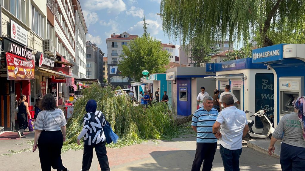 BOLU'DA BANKAMATİKLER SOKAĞINA AĞAÇ DEVRİLDİ... FACİADAN DÖNÜLDÜ... 1 YARALI