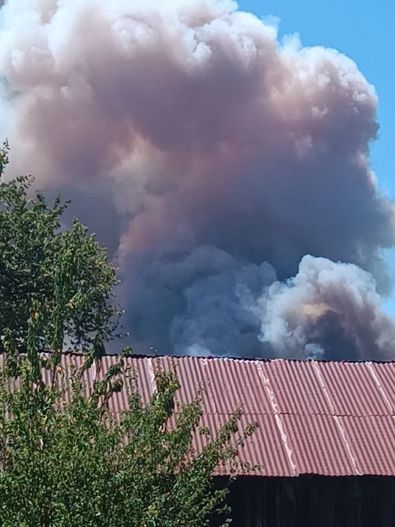 BOLU’DA BÜYÜK  ORMAN YANGINI... DUMANLAR GÖKYÜZÜNÜ  KAPLADI