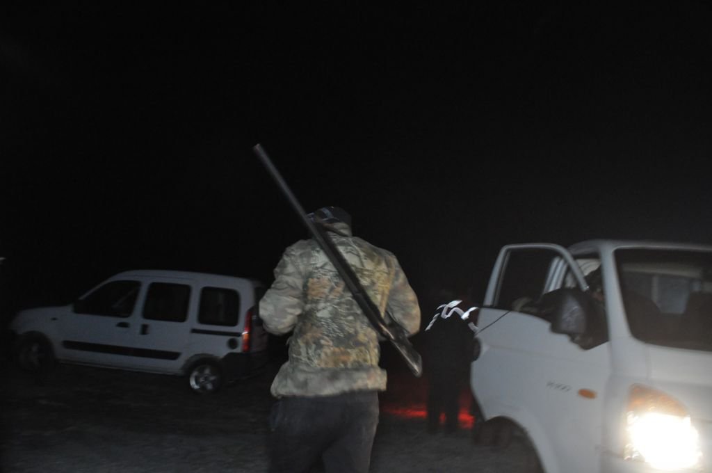 BOLU’DA ÇİFTÇİLERİN UYKULARINI KAÇIRAN DOMUZ KABUSU