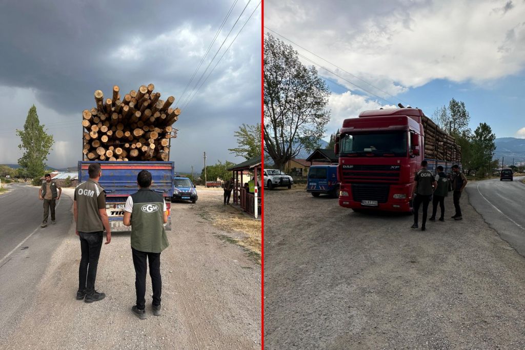 BOLU'DA KAÇAK ORMAN EMVALİNE GEÇİT YOK