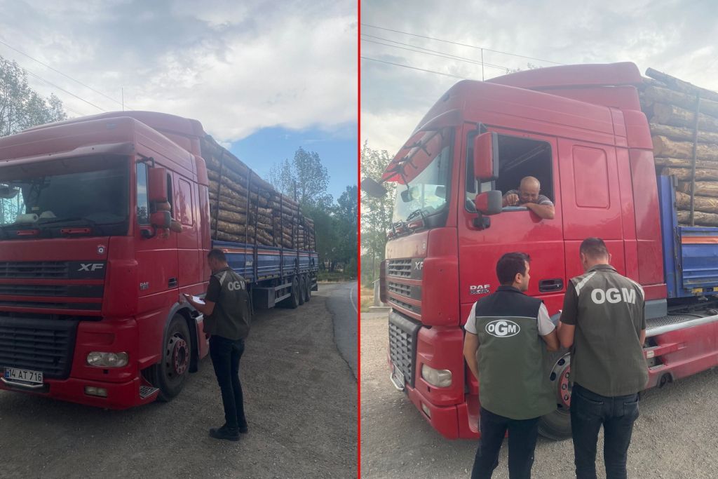 BOLU'DA KAÇAK ORMAN EMVALİNE GEÇİT YOK