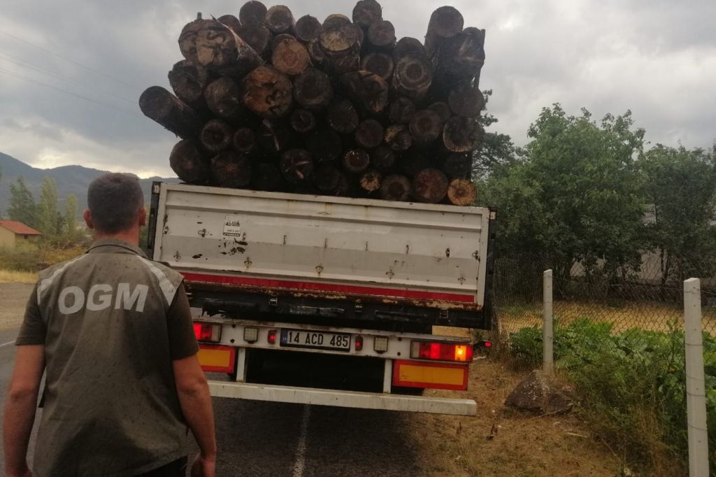 BOLU'DA KAÇAK ORMAN EMVALİNE GEÇİT YOK