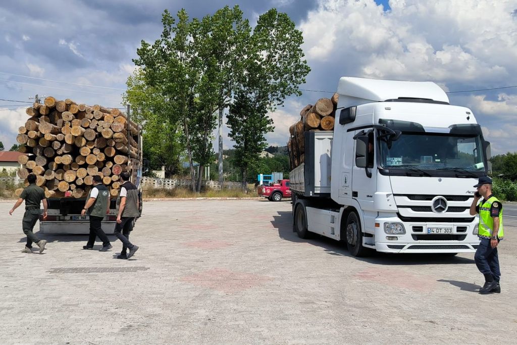 BOLU'DA KAÇAK ORMAN EMVALİNE GEÇİT YOK
