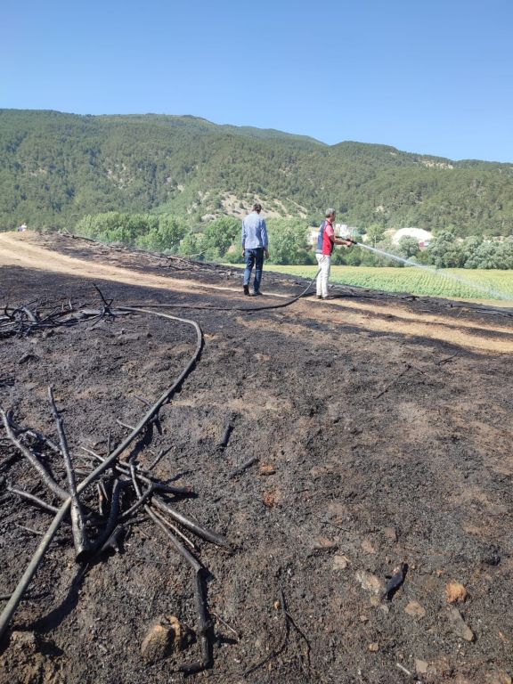 BOLU'DA OTLUK ARAZİ ÇIKAN YANGINDA KÜLE DÖNDÜ