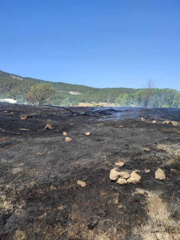 BOLU'DA OTLUK ARAZİ ÇIKAN YANGINDA KÜLE DÖNDÜ