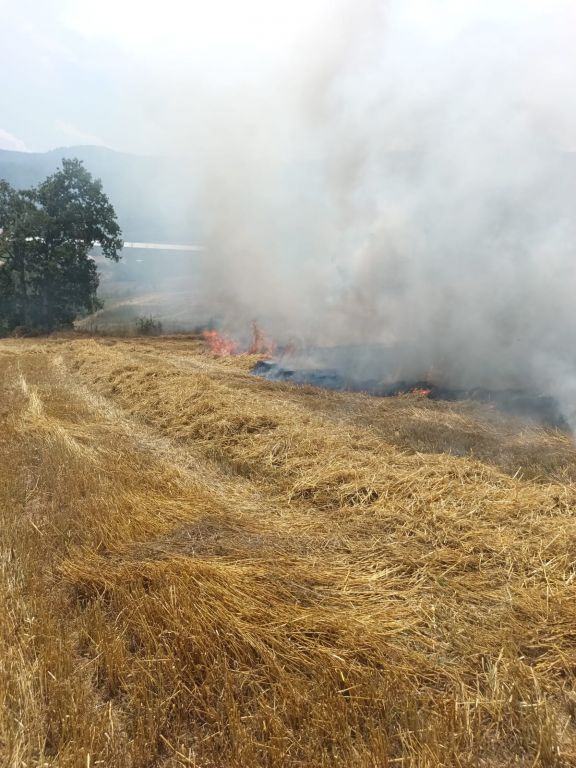 BOLU'DA TARLADA BÜYÜK YANGIN....