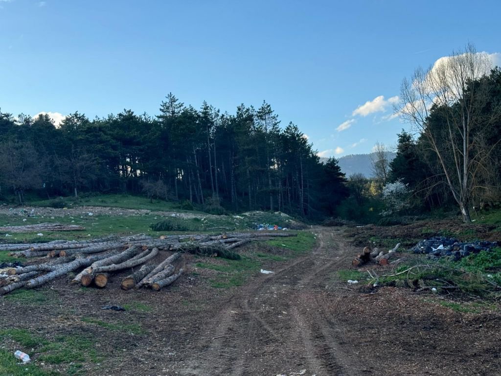 DOĞA HARİKASI BOLU’DAN ÇÖP MANZARALARI