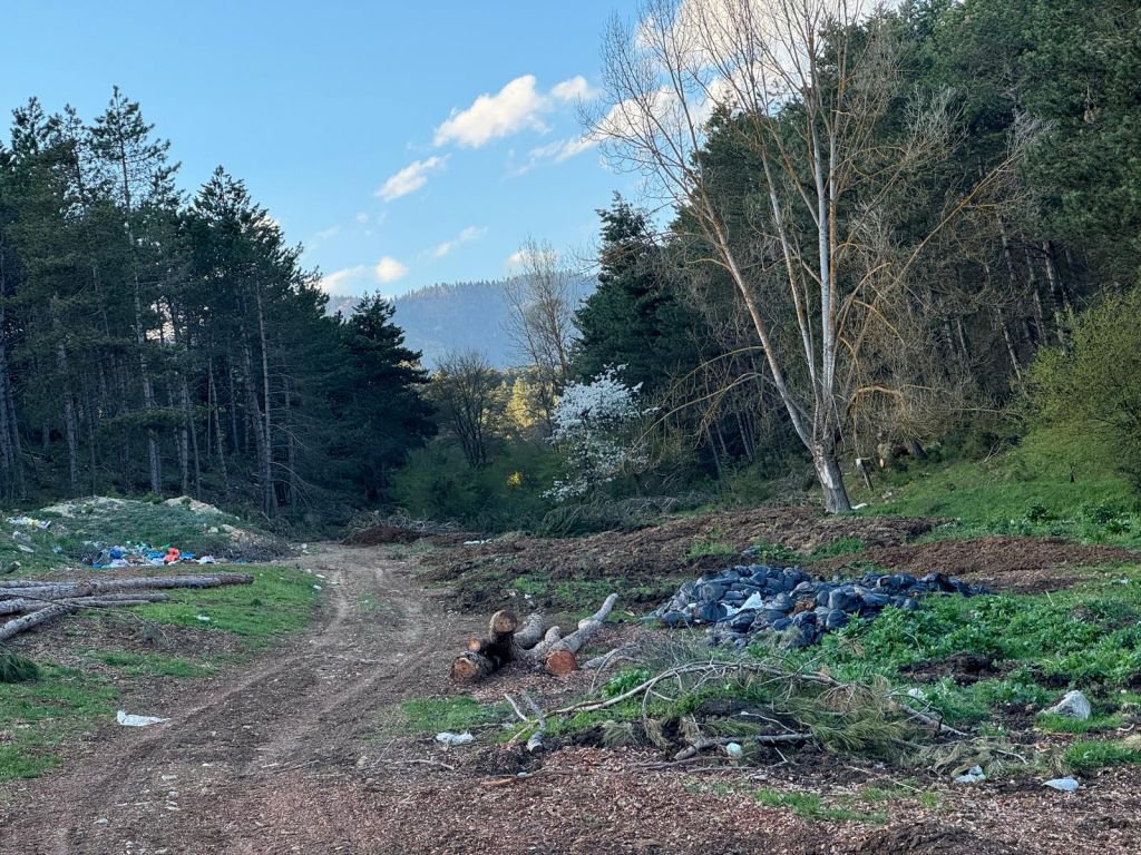 DOĞA HARİKASI BOLU’DAN ÇÖP MANZARALARI