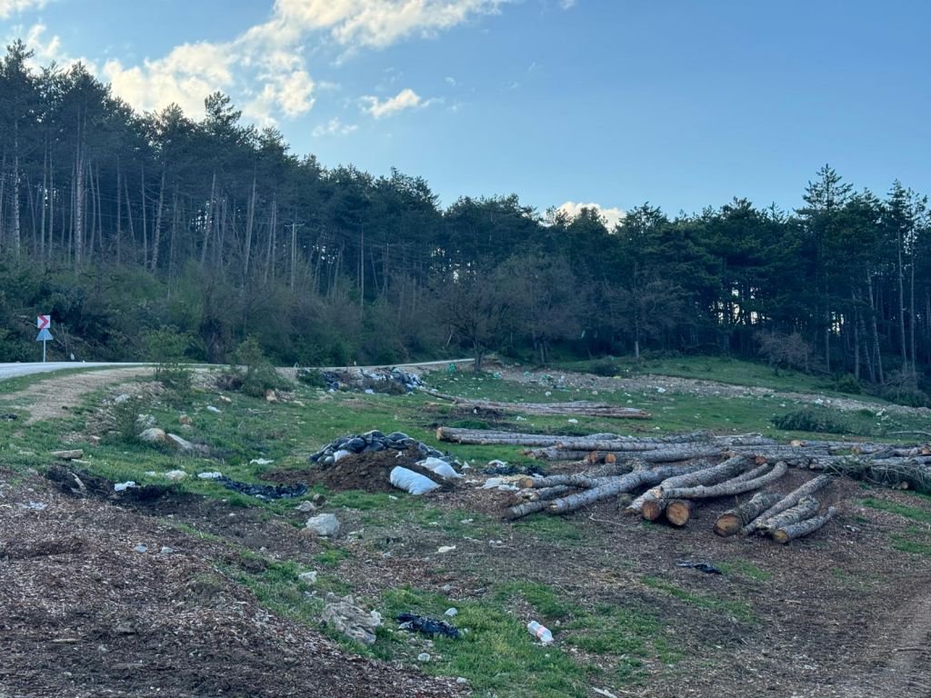 DOĞA HARİKASI BOLU’DAN ÇÖP MANZARALARI