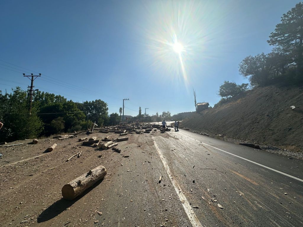 KAMYONDA YÜKLÜ ODUNLAR YOLA SAÇILDI