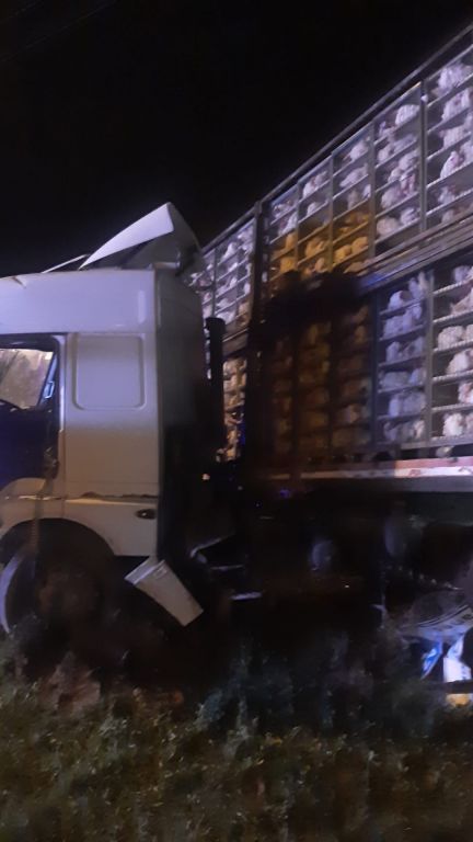 KAVŞAKTA TIRLA OTOMOBİL ÇARPIŞTI: 1 YARALI